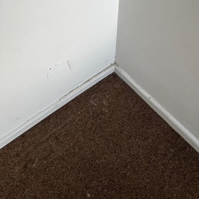 Deep Cleaning Delabole